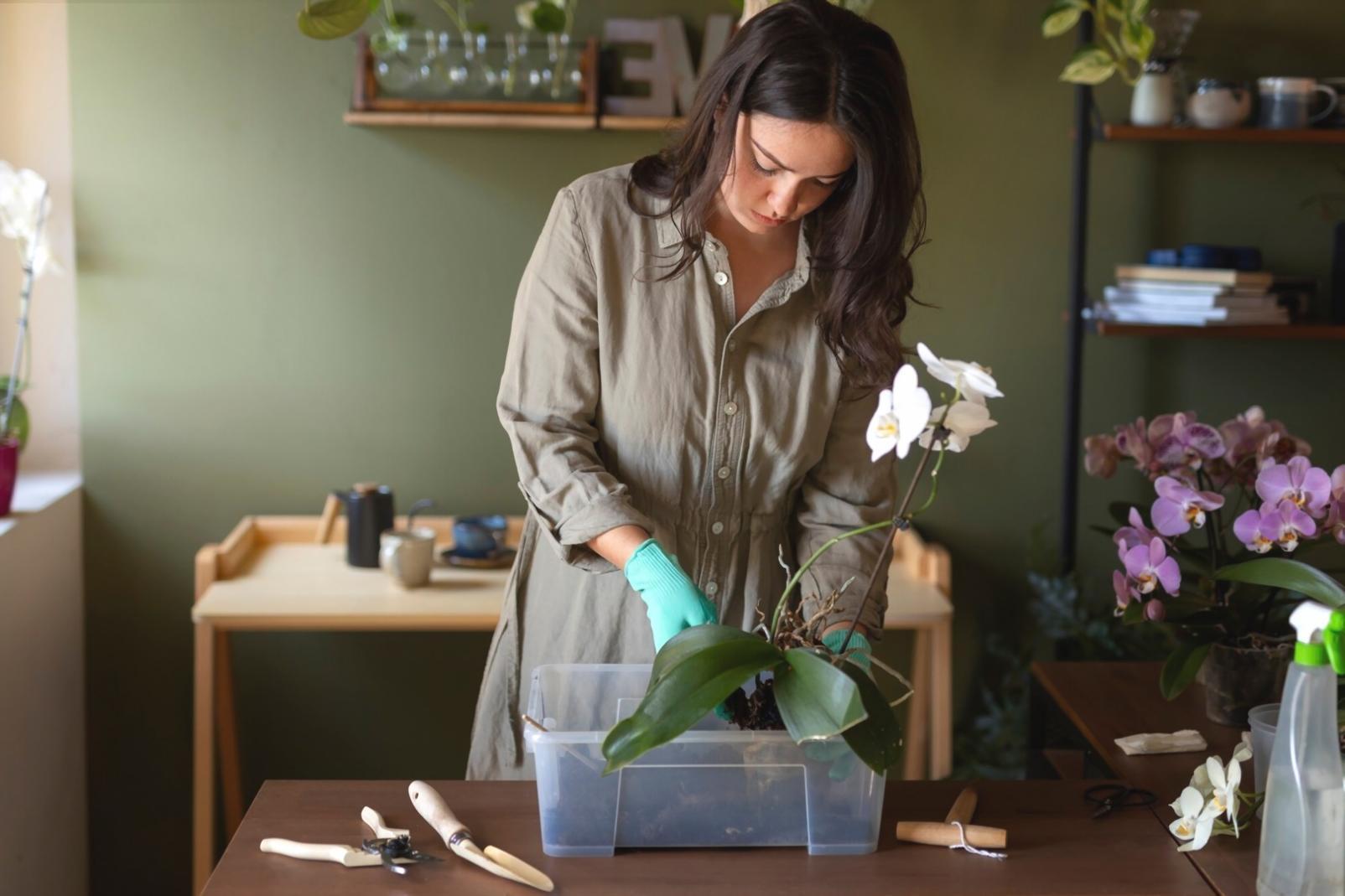 Seasonal floral arrangement showcasing collaborative design process